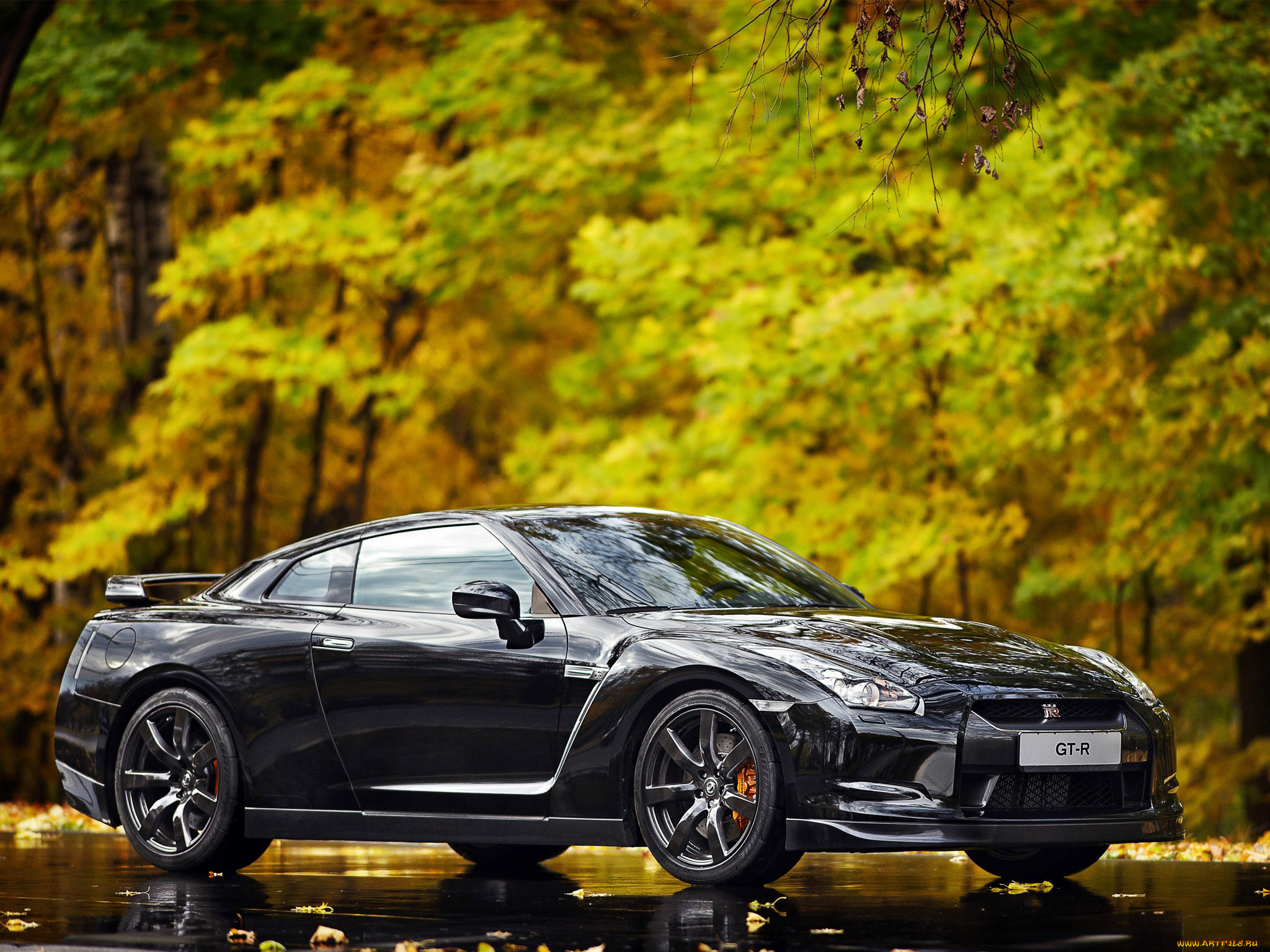 , nissan, datsun, , , gtr, , 